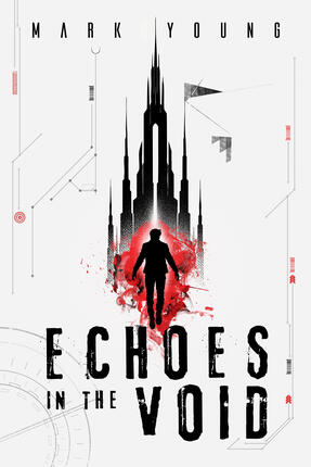 Echoes in the Void